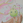 Kodani_Tomomi