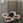 tomnet0204