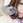 吉田 晴香