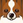 inaka_phper