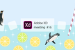 Adobe XD meeting 16