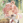 ほしみや
