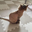 Sayaka0113