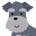 kyu-chan