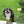 infordio_kishi
