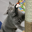 oo2
