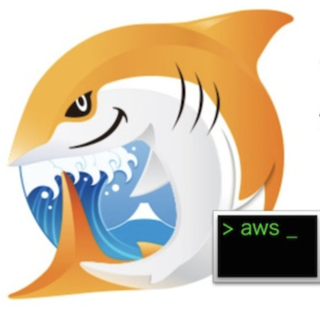JAWS-UG CLI専門支部 #431 AWS CLI v2基礎(設定)