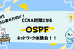 20代・初心者限定/CCNA対策になるOSPF/ネットワーク機器操作会（安心の手順書付）