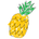 foolish-pine