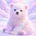 kuma_dev_07