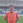 HitoshiMatsumoto