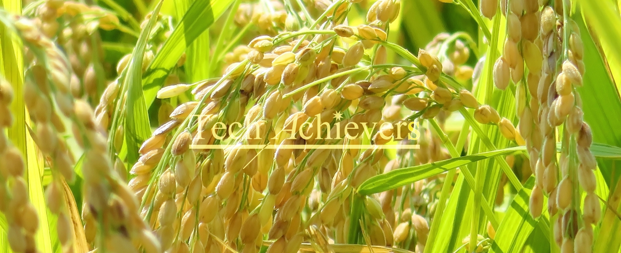 Tech Achieversの会#72