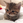 chikashi_h