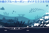 AIコンペティション「ブルーカーボン・ダイナミクスを可視化せよ！」キックオフイベント
