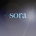 末神奏宙