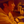 Yasuhiro Nishioka