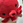 ihara_s