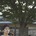 HideyukiOno