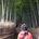 seiyaendo