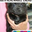 hiroya319