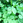 Sanae.G