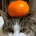 うこ