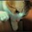 Maine__Coon__