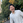 Yudai_Fujita