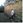 KazumasaHirose