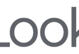 Looker User Meetup Online #8