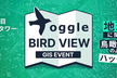 toggle BirdView #1