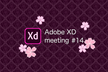 Adobe XD meeting 14