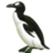 hi_saito