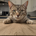 Yuki_A