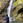 chujo-0544