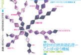 自然言語処理技術の最近の動向を学ぶ会