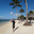 hiroshi_suda