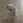 きくぞう