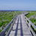 nkmr_jp