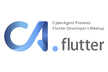 CA.flutter #4