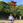 MisakiKachi
