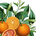 Neroli