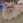 やなお