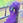 AndromeDroid