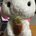 いわくら