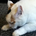 Hiroki_Noguchi