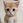 daichan_0413