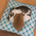 egg1031