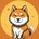 n8_hachi