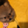 kuma3goo